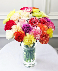 Carnations