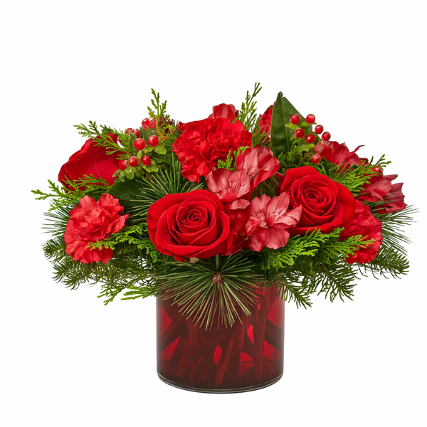 Wintry wonder in red