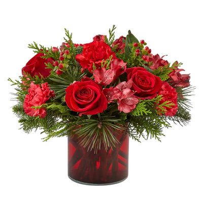 Wintry wonder in red