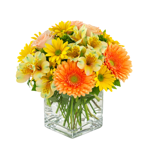 Best Wishes
