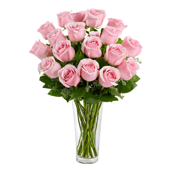 12 Pink Roses