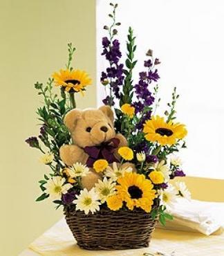 Basket and Bear Arrangement