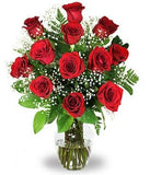 12 Red Roses