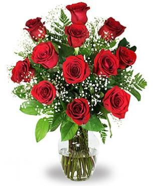 12 Red Roses