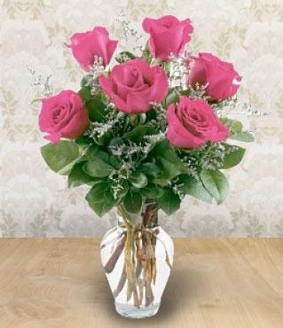 6 Pink Roses